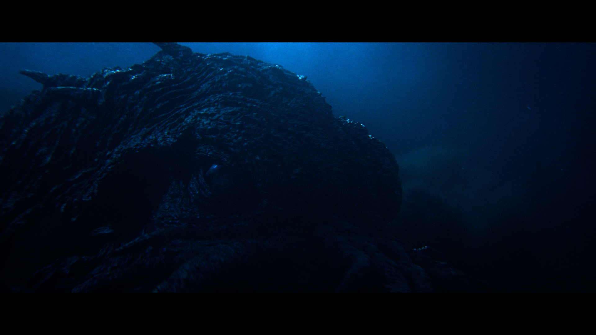 Imagem do filme Kraken